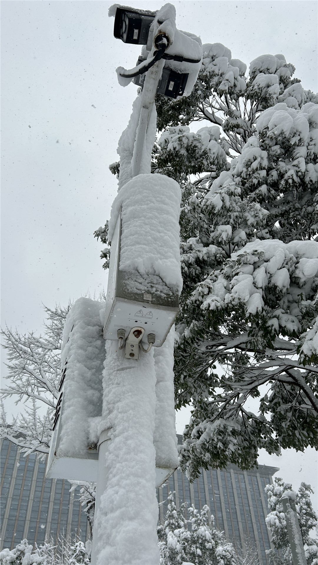 �Ϸ���С����������Ӧ�Զ�������?